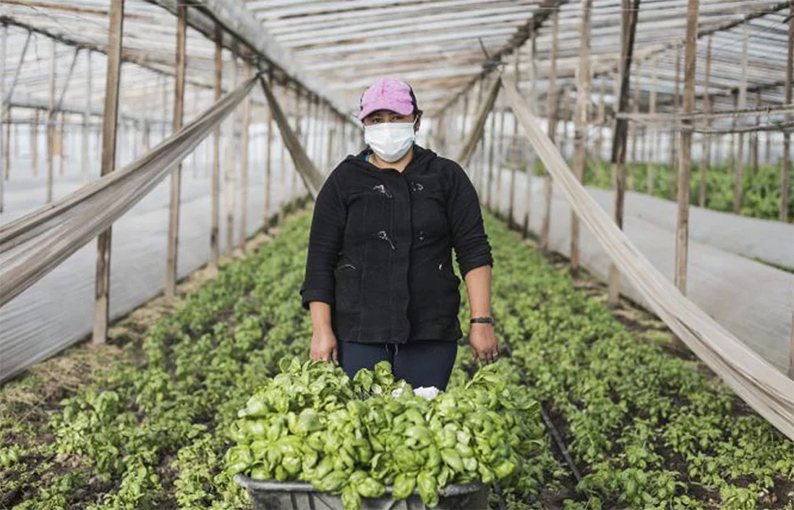Analizan el perfil de los agricultores familiares de La Matanza - Vimarsana News